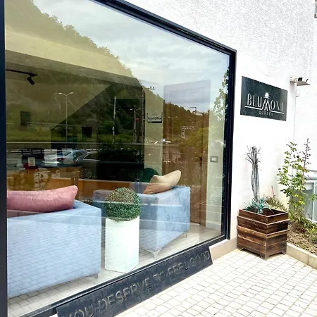 Vista Adriatic Cz By Adriatic Living Apartament *